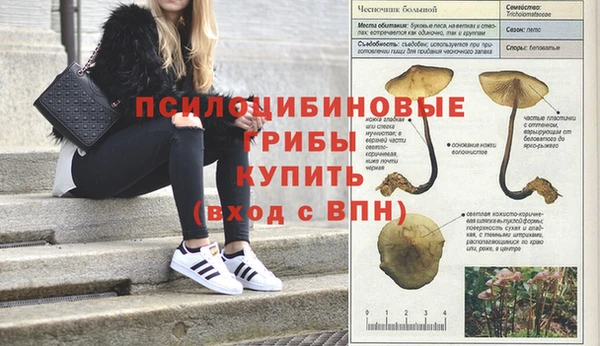 кокаин премиум Абаза